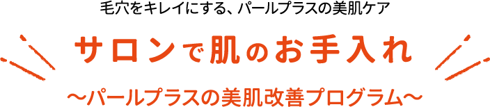 毛穴をキレイにする、パールプラスの美肌ケア サロンで肌のお手入れ ～パールプラスの美肌改善プログラム～