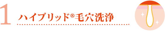 ハイブリッド毛穴洗浄
