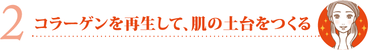 コラーゲンを再生して、肌の土台をつくる