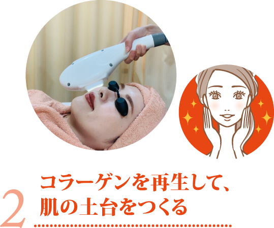 コラーゲンを再生して、肌の土台をつくる