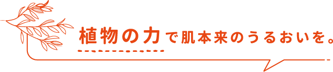 植物の力で肌本来のうるおいを。
