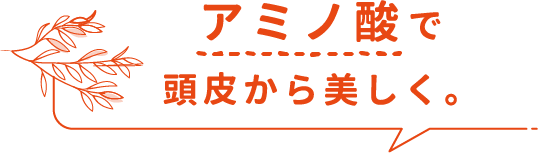 アミノ酸で頭皮から美しく。