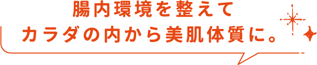 腸内環境を整えてカラダの内から美肌体質に。