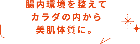 腸内環境を整えてカラダの内から美肌体質に。